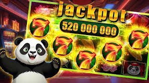 65x com bet